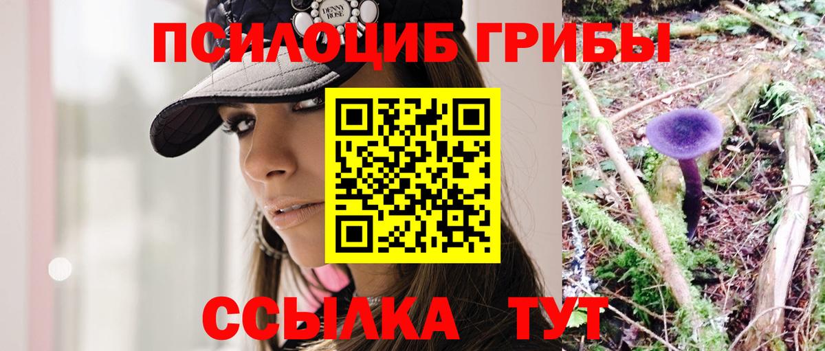 Псилоцибиновые грибы Cubensis  Псилоцибиновые грибы мицелий  Егорьевск  Вход с VPN 