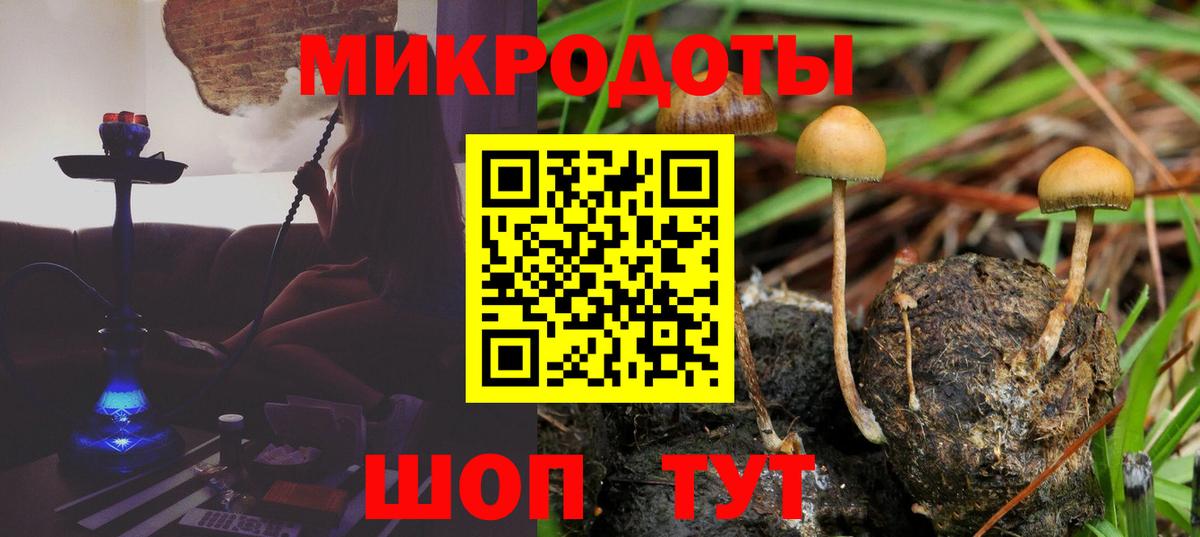 Псилоцибиновые грибы Psilocybe Егорьевск